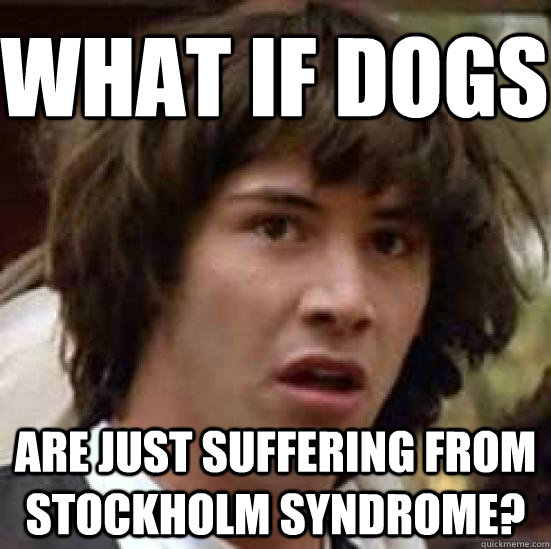 What if dogs are just suffering from stockholm syndrome? - What if dogs are just suffering from stockholm syndrome?  conspiracy keanu