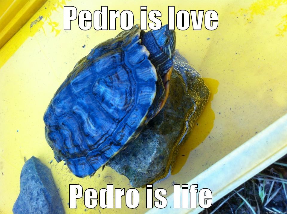 PEDRO IS LOVE PEDRO IS LIFE Misc