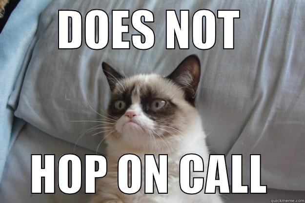 DOES NOT HOP ON CALL Grumpy Cat