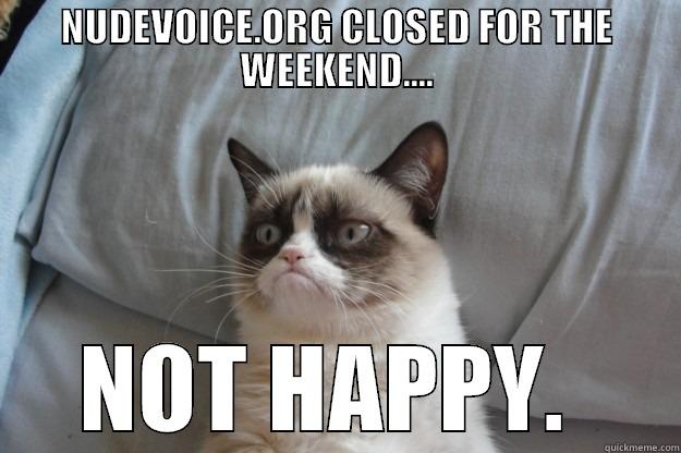 NUDIST CAT - NUDEVOICE.ORG CLOSED FOR THE WEEKEND.... NOT HAPPY.  Grumpy Cat