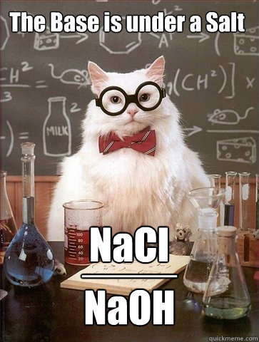 NaCl
 ____
NaOH The Base is under a Salt  Chemistry Cat