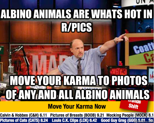 albino animals are whats hot in r/pics  move your karma to photos of any and all albino animals  Mad Karma with Jim Cramer