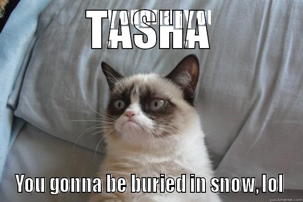 TASHA YOU GONNA BE BURIED IN SNOW, LOL Grumpy Cat