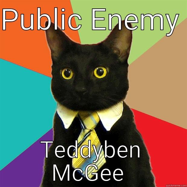 PUBLIC ENEMY  TEDDYBEN MCGEE  Business Cat