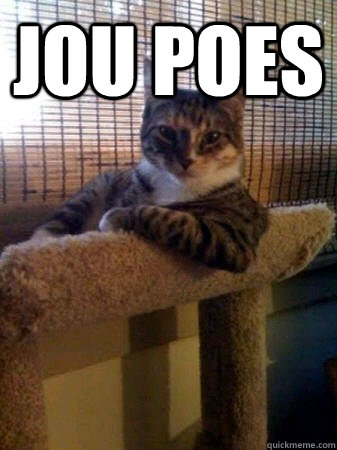 JOU POES  - JOU POES   The Most Interesting Cat in the World