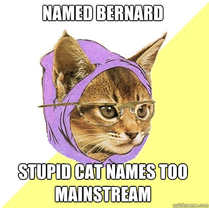 named bernard stupid cat names too mainstream  Hipster Kitty