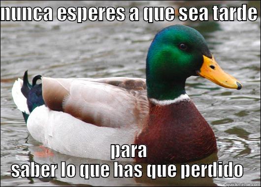 NUNCA ESPERES A QUE SEA TARDE  PARA SABER LO QUE HAS QUE PERDIDO  Actual Advice Mallard