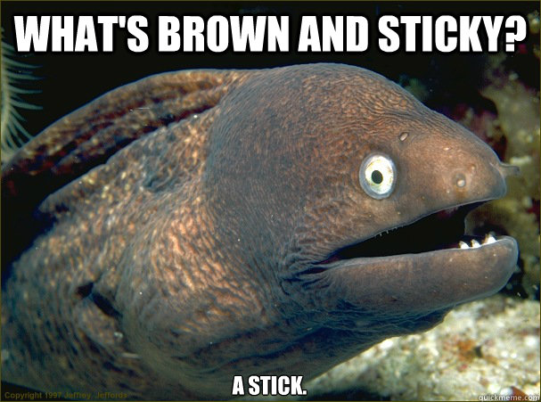 what's brown and sticky? a stick.  Bad Joke Eel