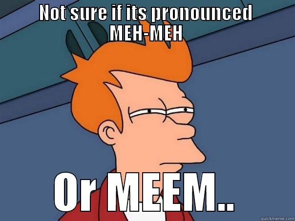 I don't KNOW! - NOT SURE IF ITS PRONOUNCED MEH-MEH OR MEEM.. Futurama Fry