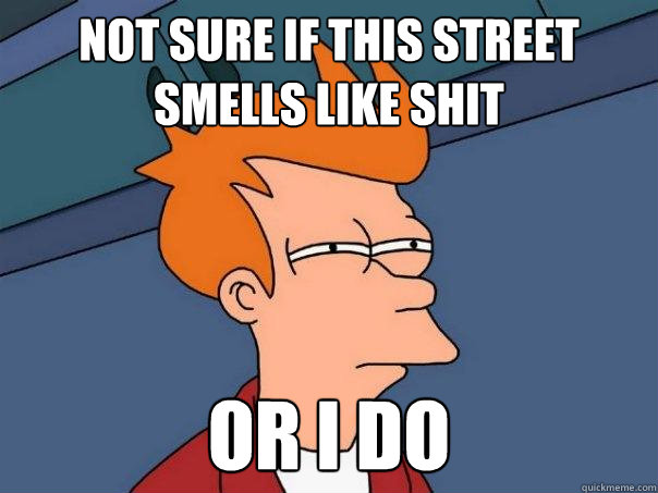 Not sure if This street smells like shit or i do  Futurama Fry