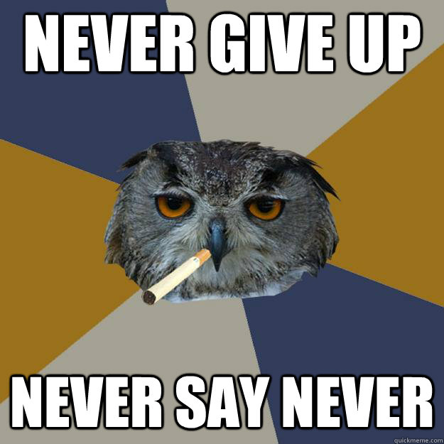 Never Give up Never Say Never - Never Give up Never Say Never  Art Student Owl