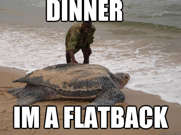 dinner Im a Flatback - dinner Im a Flatback  Misc