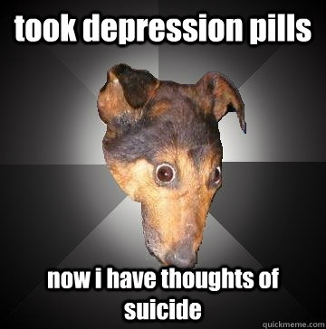 took depression pills now i have thoughts of suicide  Depression Dog