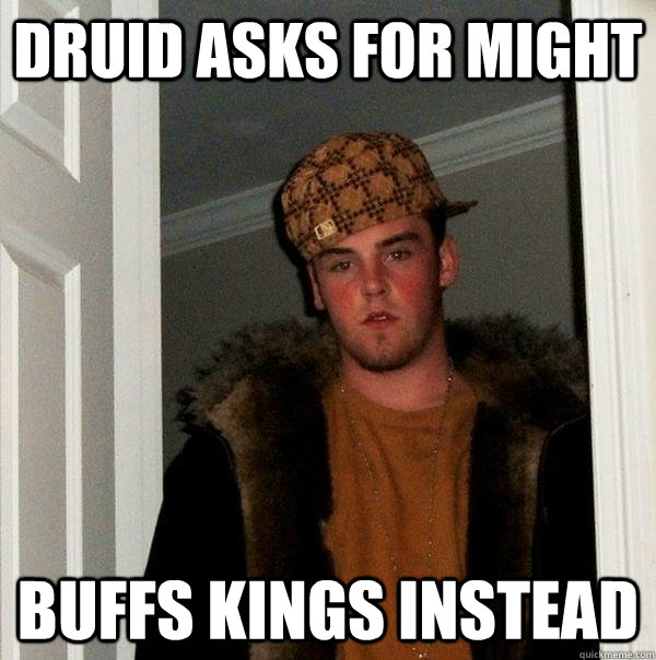 Druid asks for might buffs kings instead - Druid asks for might buffs kings instead  Scumbag Steve