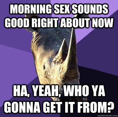 Morning sex sounds good right about now Ha, yeah, who ya gonna get it from?  Sexually Oblivious Rhino