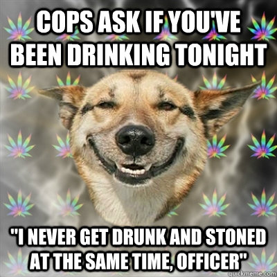 cops ask if you've been drinking tonight 