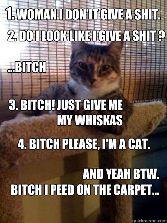 1. Woman i don'it give a shit. 2. Do i Look like i give a shit ?

...Bitch 3. Bitch! Just give me 
my Whiskas 4. Bitch Please, I'm a cat. And yeah btw.
 bitch i peed on the carpet...  The Most Interesting Cat in the World