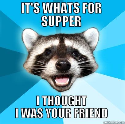 IT'S WHATS FOR SUPPER I THOUGHT I WAS YOUR FRIEND Lame Pun Coon