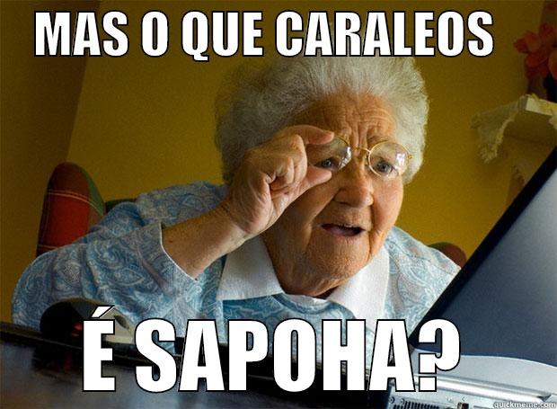    MAS O QUE CARALEOS       É SAPOHA? Grandma finds the Internet