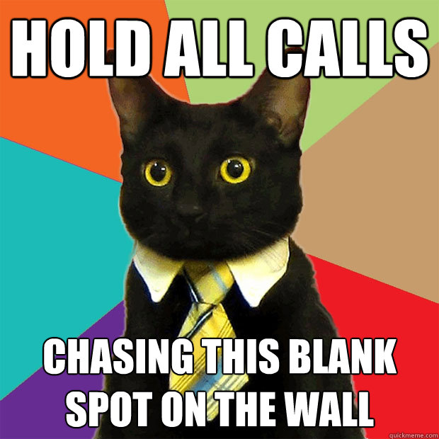 hold all calls chasing this blank spot on the wall  Business Cat