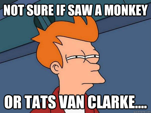 Not sure if saw a monkey or tats van clarke....  Futurama Fry