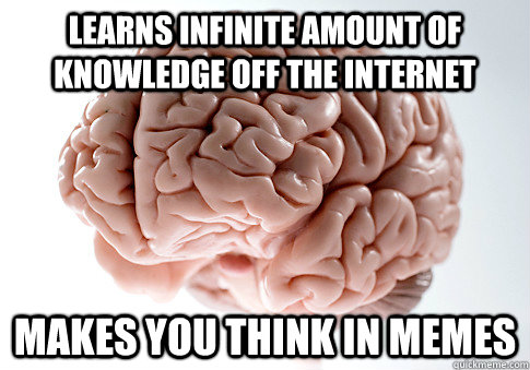 learns infinite amount of knowledge off the internet Makes you think in memes  Scumbag Brain