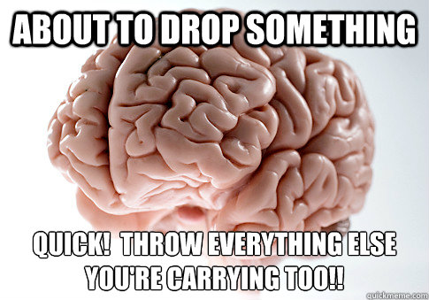 About to drop something QUICK!  THROW EVERYTHING ELSE YOU'RE CARRYING TOO!!   Scumbag Brain