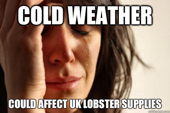 Cold weather  Could affect uk lobster supplies   First World Problems