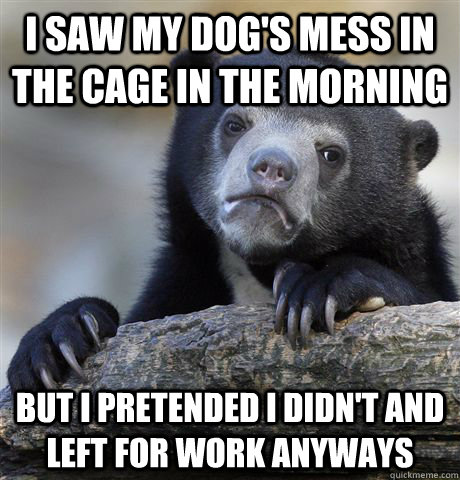 I saw my dog's mess in the cage in the morning but i pretended I didn't and left for work anyways  Confession Bear