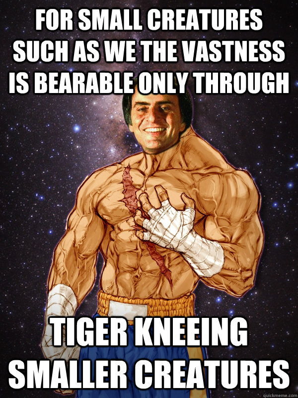 For small creatures such as we the vastness is bearable only through tiger kneeing smaller creatures  