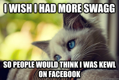 I wish I had more swagg So people would think I was kewl on facebook  First World Problems Cat