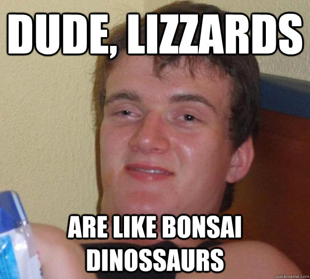 Dude, lizzards are like Bonsai dinossaurs  10 Guy