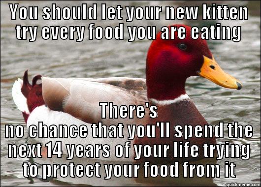 YOU SHOULD LET YOUR NEW KITTEN TRY EVERY FOOD YOU ARE EATING THERE'S NO CHANCE THAT YOU'LL SPEND THE NEXT 14 YEARS OF YOUR LIFE TRYING TO PROTECT YOUR FOOD FROM IT Malicious Advice Mallard