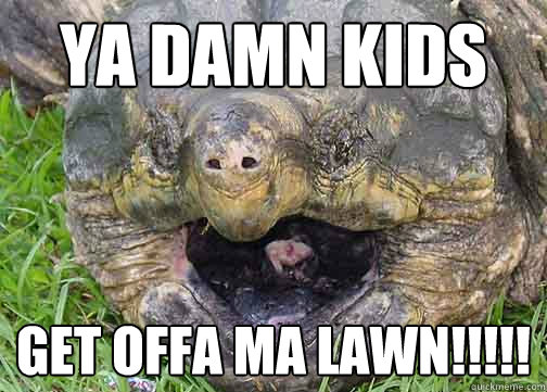 YA DAMN KIDS GET OFFA MA LAWN!!!!!  Crabby old man aligator snapping turtle