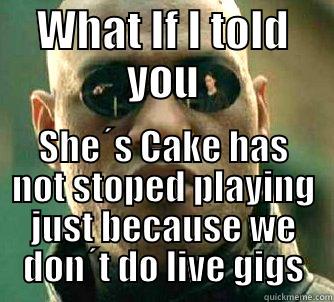 WHAT IF I TOLD YOU SHE´S CAKE HAS NOT STOPED PLAYING JUST BECAUSE WE DON´T DO LIVE GIGS Matrix Morpheus