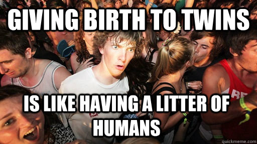 Giving birth to twins is like having a litter of humans  Sudden Clarity Clarence