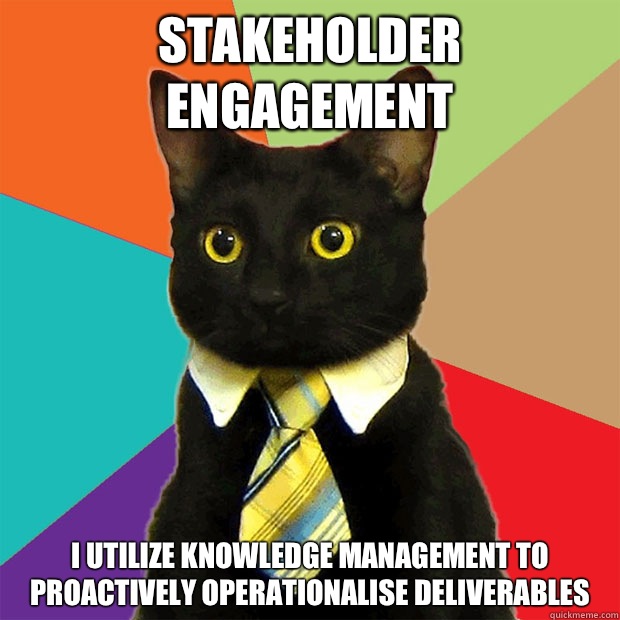 Stakeholder engagement I utilize knowledge management to proactively operationalise deliverables  Business Cat