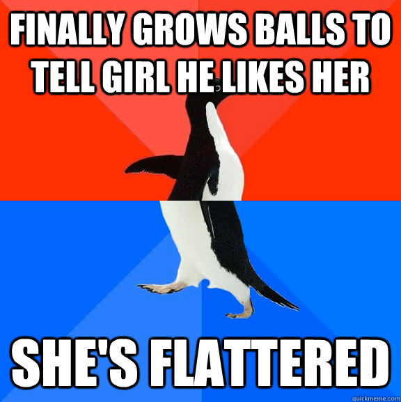 Finally grows balls to tell girl he likes her she's flattered  Socially Awesome Awkward Penguin