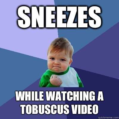 Sneezes While watching a Tobuscus video  Success Kid