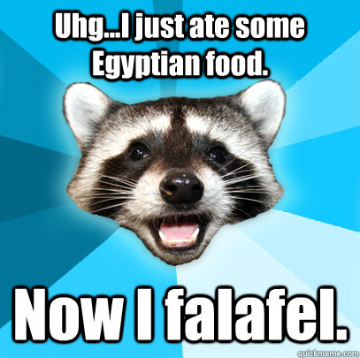 Uhg...I just ate some Egyptian food. Now I falafel. - Uhg...I just ate some Egyptian food. Now I falafel.  Lame Pun Coon