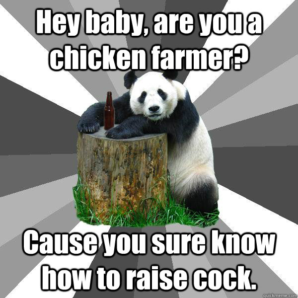 Hey baby, are you a chicken farmer? Cause you sure know how to raise cock.  Pickup-Line Panda