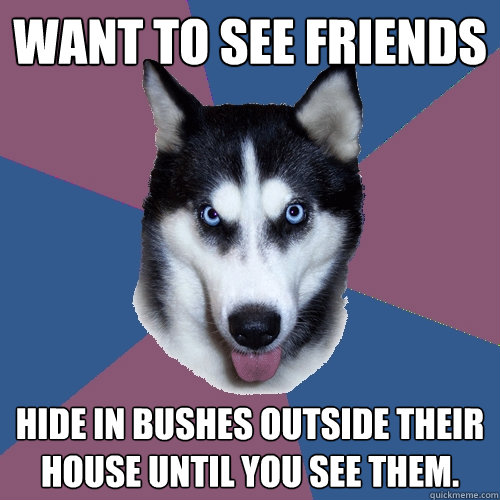 WANT TO SEE FRIENDS HIDE IN BUSHES OUTSIDE THEIR HOUSE UNTIL YOU SEE THEM. - WANT TO SEE FRIENDS HIDE IN BUSHES OUTSIDE THEIR HOUSE UNTIL YOU SEE THEM.  Creeper Canine