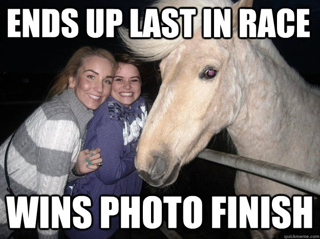 ends up last in race wins photo finish  Ridiculously Photogenic Horse