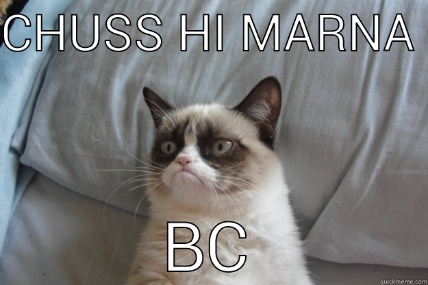 CHUSS HI MARNA  BC Grumpy Cat