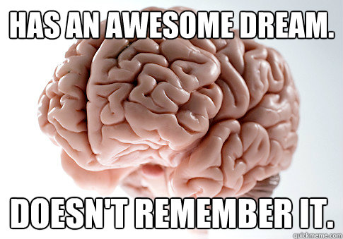 Has an awesome dream. Doesn't remember it.  Scumbag Brain