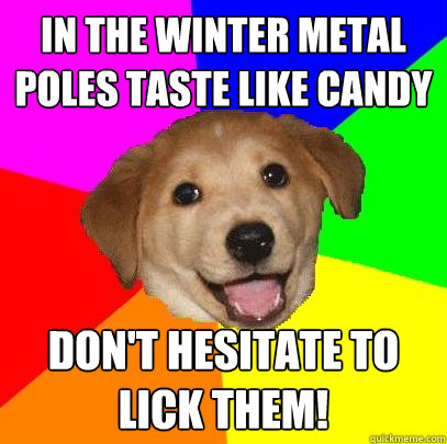 In the winter metal poles taste like candy Don't hesitate to lick them!  Advice Dog