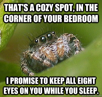 That's a cozy spot, in the corner of your bedroom I promise to keep all eight eyes on you while you sleep.  Misunderstood Spider