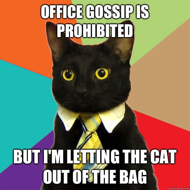 Office gossip is prohibited But i'm letting the cat out of the bag  Business Cat