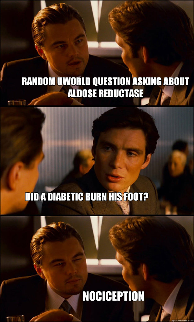 Random Uworld question asking about aldose reductase Did a diabetic burn his foot? Nociception  Inception