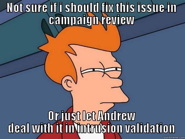 NOT SURE IF I SHOULD FIX THIS ISSUE IN CAMPAIGN REVIEW OR JUST LET ANDREW DEAL WITH IT IN INTRUSION VALIDATION Futurama Fry